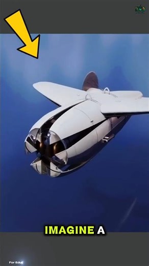 Would You Trust a Pigeon to Guide a Missile? #documentary#usashorts#fyp