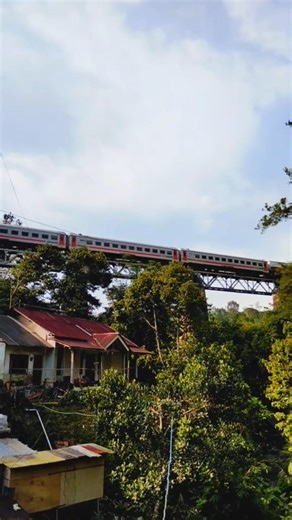 there is a train in the garden #shorts #funny #comedy #meme