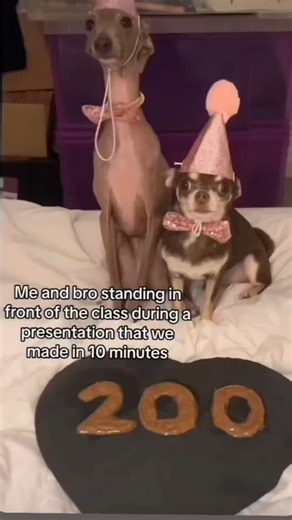 Academic Writer on Instagram: "Looking for help with your studies? Look no further! @collegehomework_helpers has you covered with top-quality assignments, guaranteed punctual delivery, 24/7 support, and affordable pricing. Our experts are here to assist you. 🚀 We provide a variety of services, including essay writing, research papers, online tests, math, calculus, presentations, term papers, chemistry, physics, online quizzes, and more. Skilled Writers: Our team of professionals provides custom