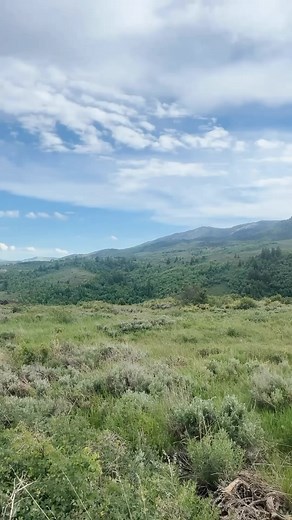 Our “True Purpose” journal guides you in exploring your heart and crafting a tailored vision for your life. From vision boards to introspective exercises, this journal will help you find your purpose and create a life you love! #franklinplanner #purposejournal #journallove | Franklin Planner | Facebook