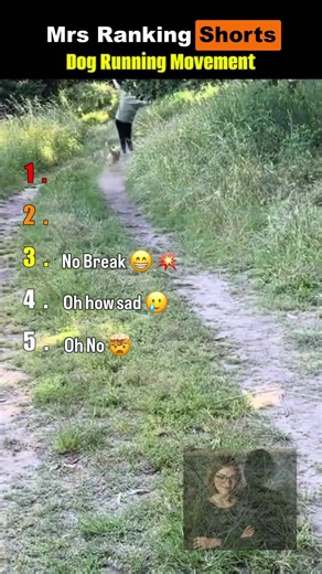Dog Running Movement Mrs Ranking Shorts | Top 5 Ranking #shortsfeed #funny #failgag #fails #fail