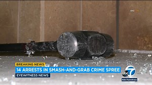 14 arrested in LA smash-and-grabs