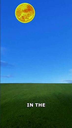 Day Light Saving Time? (EXPLAINED)