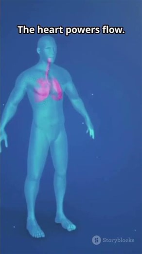 Your Body in 60s: Stunning 3D Anatomy!