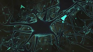 Animation of neuron signals.