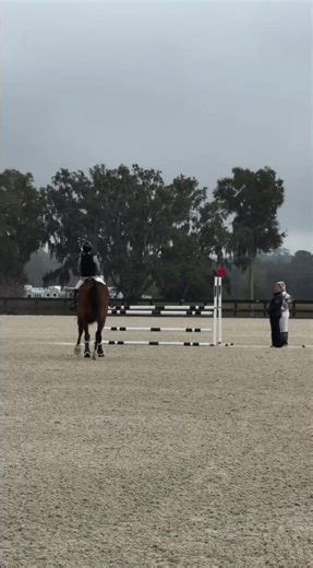 Draft from yesterday so ready to show this week #foryoupageofficial #fypシ゚viral #horsese #wec #blowthisup