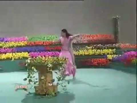 Nargis Mujra - Tu Mile Kadi Kadi Nargis Mujra Dance song
