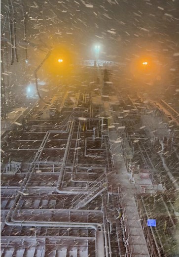 Una settimana nei mari del Nord: neve, foche e piattaforme