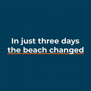 ** Help us do it again! ** One of the most important sea turtle nesting beaches in the world is located on a remote beach in Cabo Verde, a small island nation in the central Atlantic Ocean. Each year thousands of loggerhead sea turtles come onshore to lay their eggs. However, the coastline is suffocating under tons of discarded fishing gear and other marine debris that washes up on shore every day. Sea Shepherd teamed up with the local organization Biosfera to clear away the deadly fishing gear 