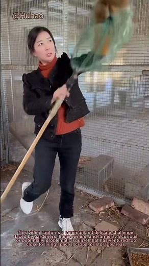 Gentle & Effective Squirrel Rescue! DIY Animal Control Hack (Wildlife, Garden Tips, ASMR)