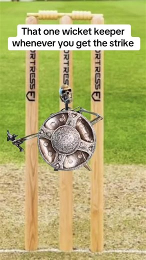 Funny Cricket Memes: Wicket Keeper Sledging Moments