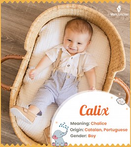 Calix Name Meaning, Origin, Pronunciation & Popularity Guide