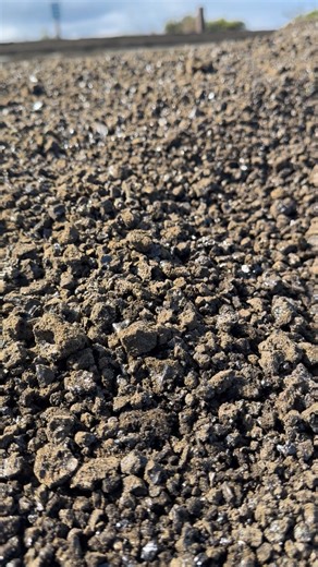 Up on the volcano today 🌋🩶 it’s two days after the eruption and there’s still a bunch of tephra around 🪨 This is fascinating though…it’s making this snap crackle popping noises… maybe from air releasing from them? #geology #volcano #kilauea #tephra #fallout | Alyssa Lee
