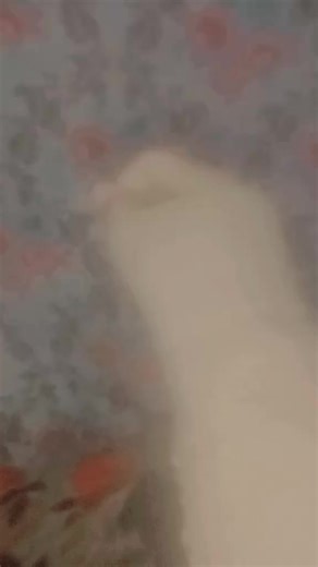Love fiza (@love.fiza2)’s videos with original sound - Anood Rana Khan🕊