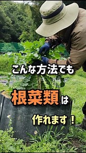 You Can Grow Root Vegetables This Way Too