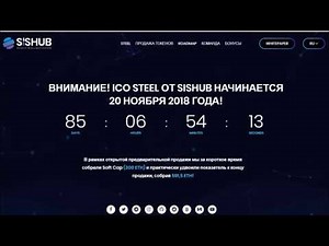 Steel 'ICO' Review