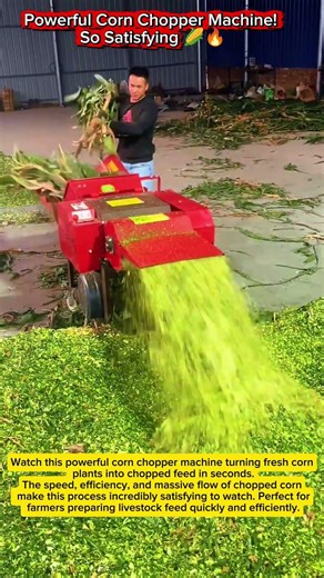 Powerful Corn Chopper Machine! So Satisfying 🌽🔥