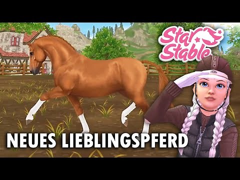 NEUES Traumpferd kommt in SSO! 😍😱 KWPN | Niederländisches Warmblut | Dutch Warmblood