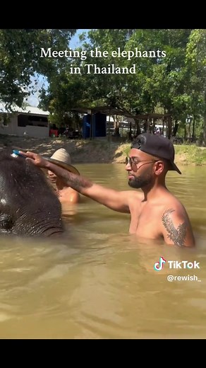 Phuket Elephant Sanctuary: Save & Care Tour