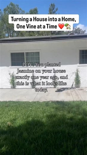 I Could Cry... Looking at What One Year of Growth Can Do 😭🌸