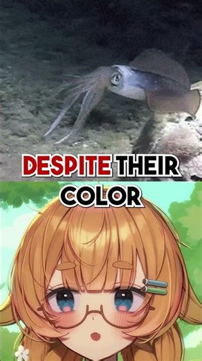 This GENIUS ALIEN Lives in Our Oceans?!