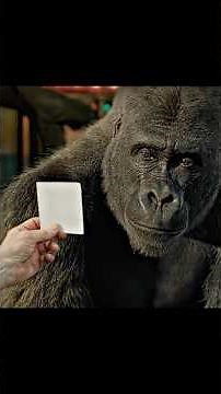 The One and Only Ivan - A Gorilla Drew This and... | Movie Recap