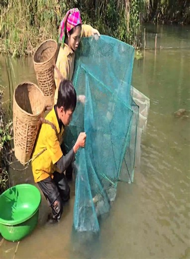 Fish trap using a hexagonal cage The joy of harvesting 20 kg of catfish to sell | Master Vid