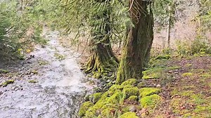 Sooke BC Canada #meanwhileinsooke #ExploreCanada #explorebc #sooke #yyj | Meanwhile in Sooke