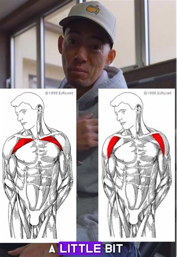 Find yourself plateauing on flat bench. This little tweak in exercises sequence could be what you need to get past that point. #chestworkout #benchpress #fitnesstips
