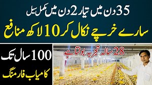 325K views · 10K reactions | In this video we will show you how to start broiler farming #broiler #broilerFarming | Sada Sohna Des Punjab | Facebook