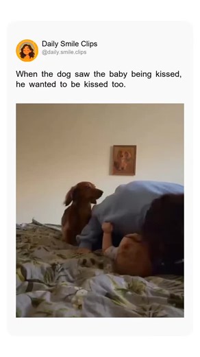 Daily Smile Clips on Instagram: "When the dog saw the baby being kissed, he wanted to be kissed too."