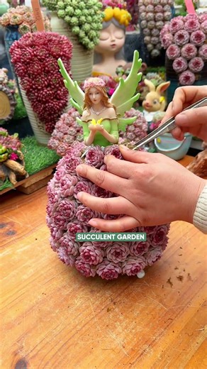 Colorful Succulent Decor Ideas to Brighten Your Space!