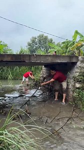Nguyen Hai on Reels