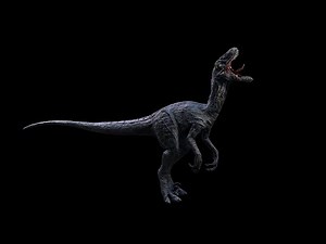 Raptor | Velociraptor Dinosaur(ShortVer)