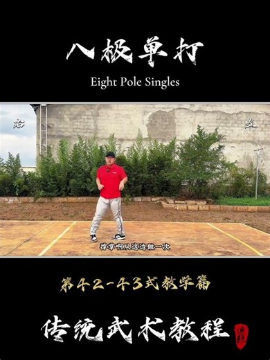 Master Bagua's Secret Moves: Unveiling Techniques 42-43