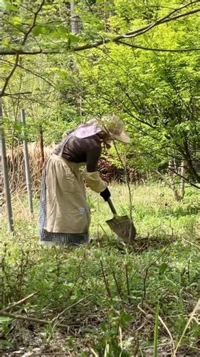 Spring Garden Work in Rural Japan