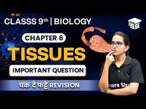 Tissues Class 9 - Important Questions | Class 9 Science (Biology) Chapter 2 | Mcq