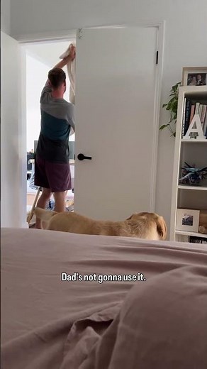 How my husband tucks our dog in for a nap