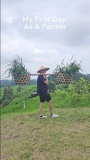 This Is The Most Beautiful Rice Terrace In Bali 🇮🇩