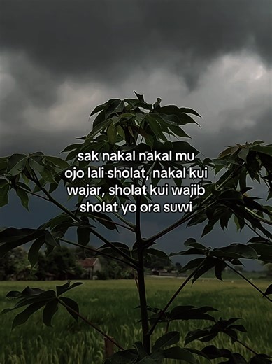 Blackjava.story (@blackjava.story)’s videos with suara asli - Kanjeng Sholawat_Official