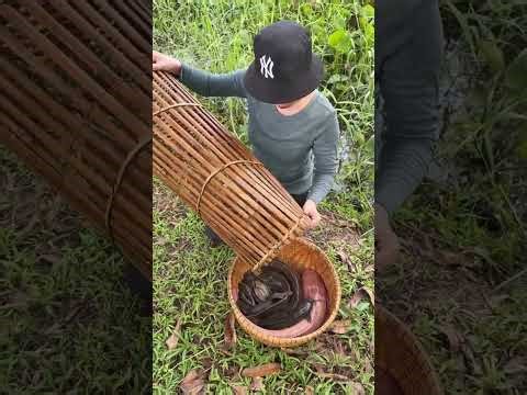 Top 3 Big Catches: 65KG Giant Dragon Fish & Survival Skills