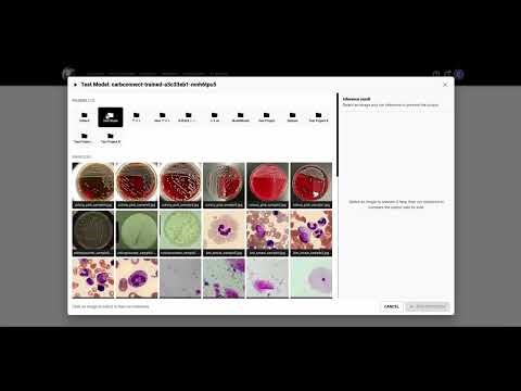 CarbConnect | Welcome to AI Studio