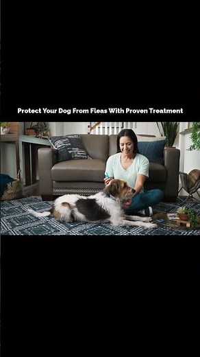 Protect Your Dog From Fleas With Proven Treatment🐶