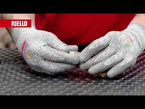 Riello RDB BX 04 MAINTENANCE