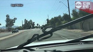 NIGHTMARE FUEL | The man driving this car kept his cool during all this! What would you do if you saw a snake slithering up your windshield? http://bit.ly/2FOwlrj | Tampa Bay 28 - WFTS