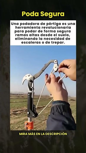 ¡Esta herramienta revolucionaria permite podar ramas altas de forma segura desde el suelo! 🌳✂️