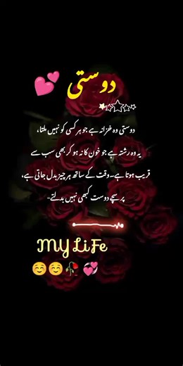 Naveed jAni on TikTok