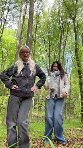 Svanninge Bakker naturtur: tips til en gå- og fotooplevelse