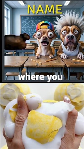 Your Name Backwards Sounds Crazy! Try It! 😂 #funny #memes #shorts