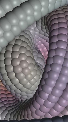 free snake skin vertical video background loop